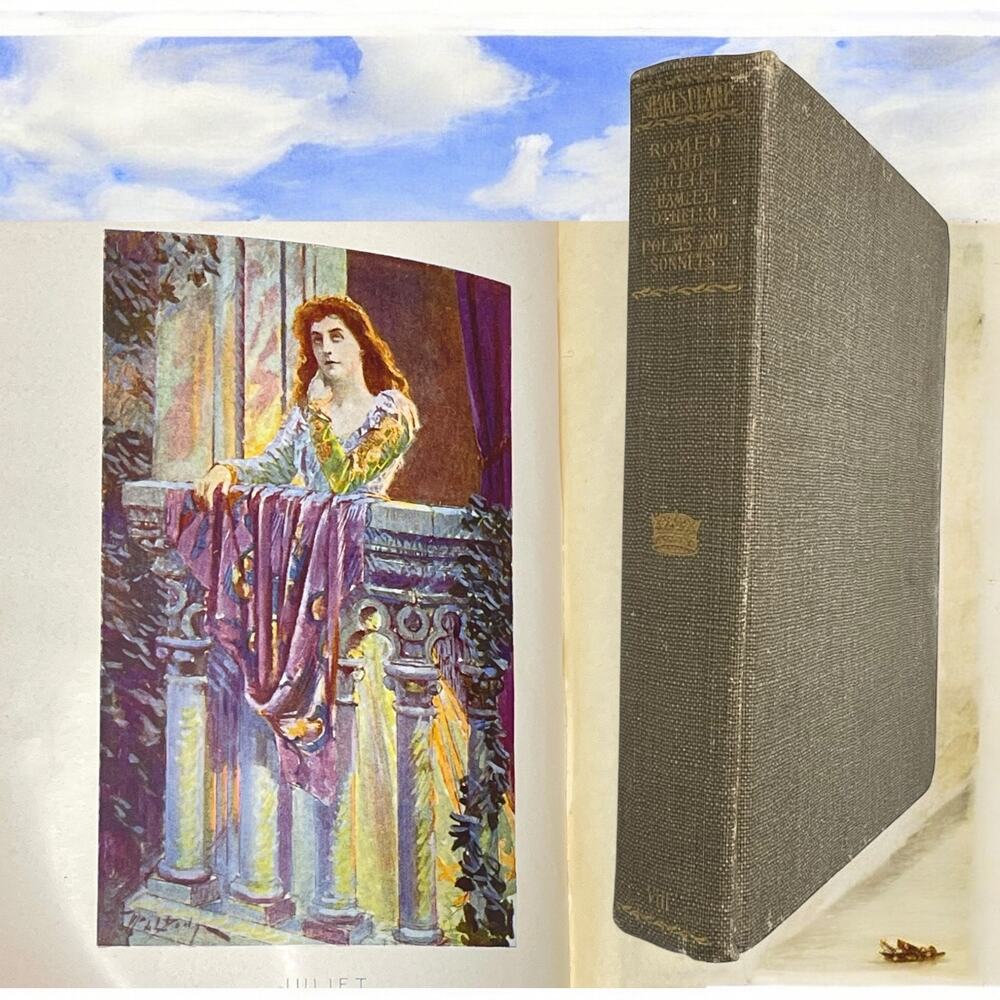 Antique 1901 Complete Works of Shakespeare Vol. 8 Illustrated Rare